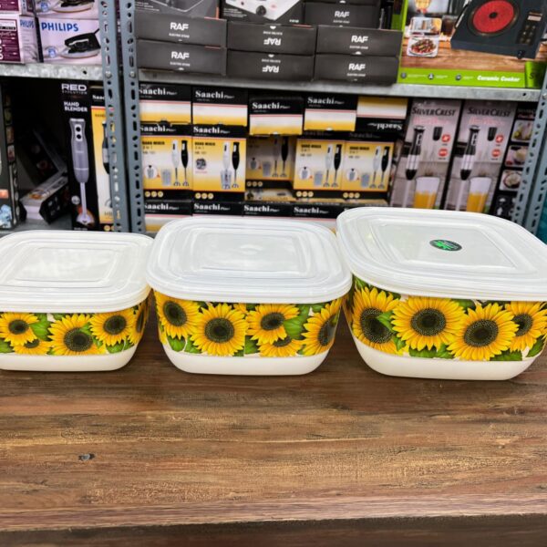 plastic food storage containers with lids